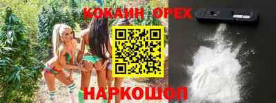 шишки Абакан