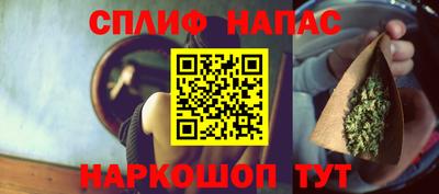 шишки Абакан