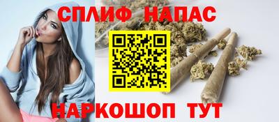 шишки Абакан