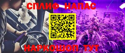 шишки Абакан