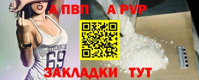 шишки Абакан
