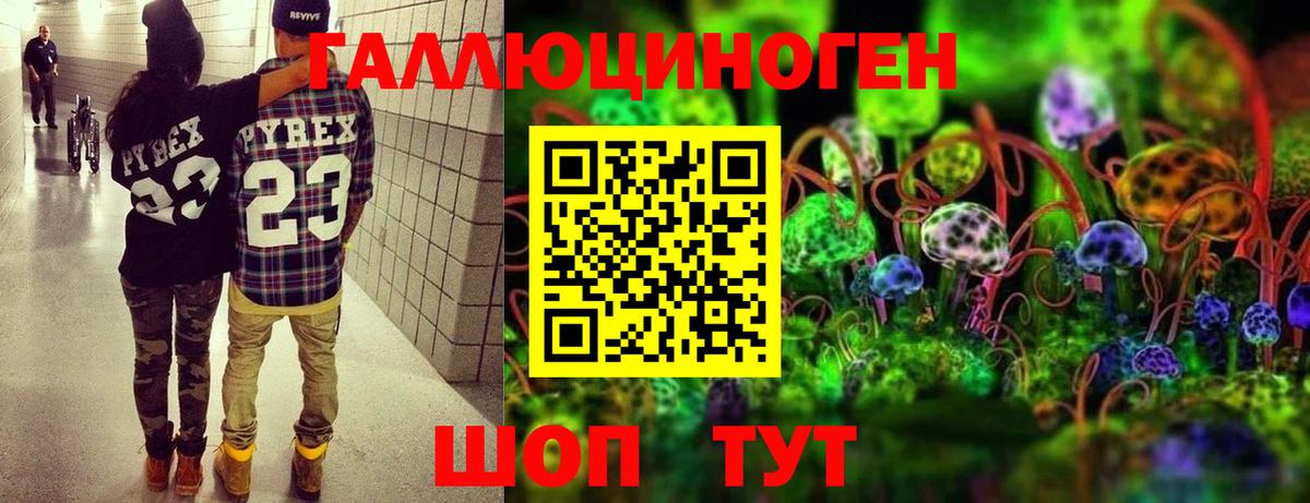 Анжеро-Судженск  дарнет шоп  Вход с VPN  Галлюциногенные грибы Magic Shrooms 